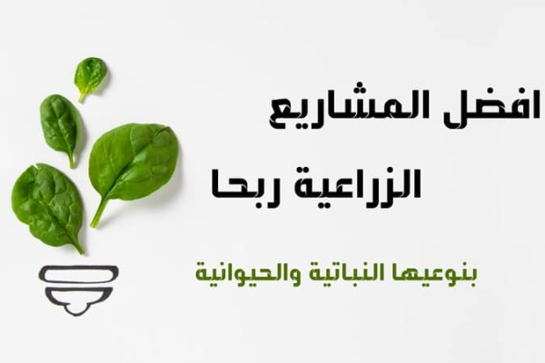 مشاريع زراعية: 17 افكار مشاريع زراعية مربحة بنوعيها النباتية والحيوانية