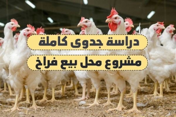 دراسة جدوى مشروع محل بيع فراخ (المواد والخامات التي تحتاجها)