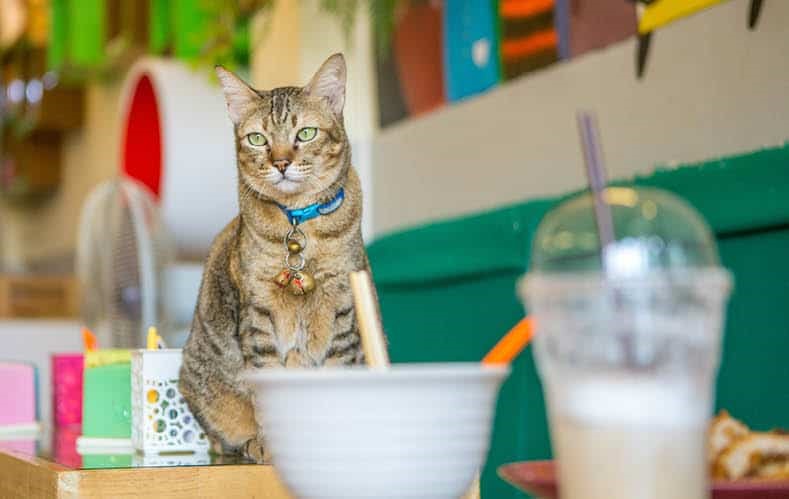 أفكار مشاريع غريبة يجب أن تفكر فيها