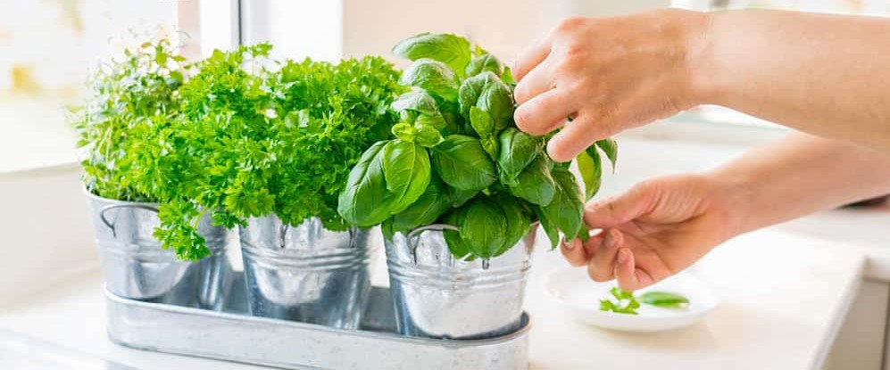 أفكار مشاريع ناجحة متوقع لها النجاح في 2023.. أعمال مُربحة