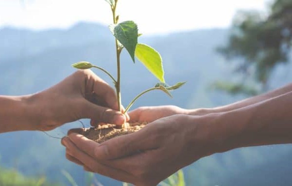 أفكار مشاريع مستدامة.. استثمارات مستقبلية بعوائد مجزية