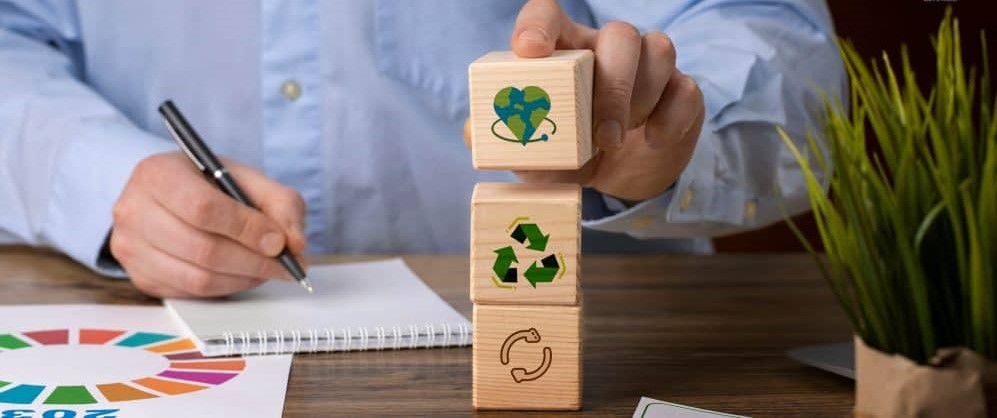 6 أفكار مشاريع تجارية مستدامة لرواد الأعمال الخضراء.. فرص واعدة وأرباح مضمونة