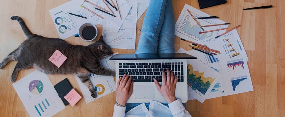 أفكار مشاريع ناشئة من المنزل.. فرص واعدة لزيادة الدخل